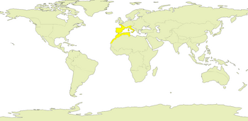 South West Europe
