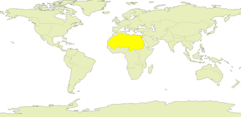 North Africa