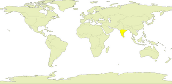 South India