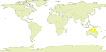 Northern Australia