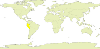 Andes